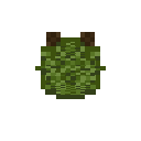 Peppercorn Fruit