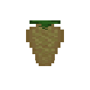 Pistachio Fruit