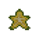 Starfruit Fruit