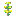 Ashen Sapling