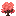 Fiery Trumpet Sapling