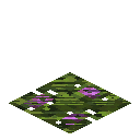 Flowering Azalea Leaf Carpet