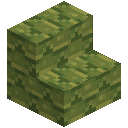 Lime Terracotta Shingle Stairs