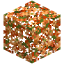 Warm Trumpet Leaves
