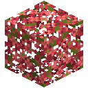 Fiery Trumpet Leaves