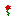 Alpha Rose