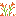 Day Lily