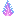Glistering Fern