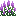 Hyssop