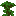 Jungle Shrub