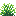 Lime Snowbelle
