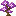 Mauve Sapling