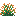 Orange Snowbelle