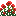 Poppy Bush