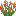 Red Lupine