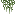 Spanish Moss