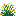 Yellow Snowbelle