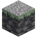 Deepslate Grass Block