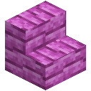 Pink Bioshroom Stairs