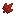 Red Maple Leaf Pile