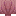 Red Clam Case