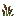 Fall Dragon Reeds