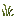 Spring Dragon Reeds