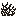 Thorn Coral