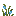 Winter Dragon Reeds