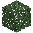 Rubber Leaves