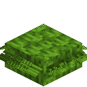 Bamboo Thatch Slab