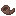 Bronzed Seashell