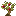 Apple Tree Sapling