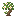 Dark Cherry Sapling