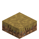Dirt Path Slab