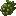 White Grape