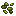 White Grape Seeds